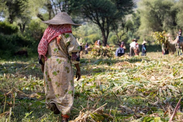 المرأة اليمنية تواجه صعوبة الحياة بالعمل