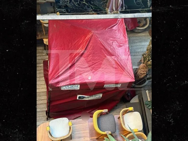 المغني ليام باين