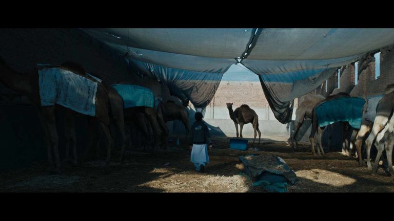 مهرجان البحر الأحمر السينمائي