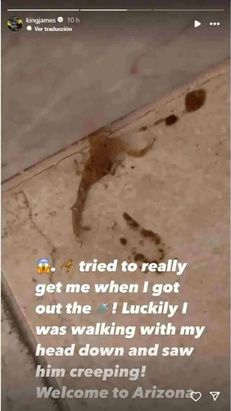 ليبرون جيمس ينجو من لدغة عقرب سام ليبرون جيمس أسطورة كرة السلة الأمريكية