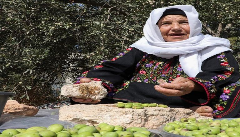 فلسطينية تدافع عن أشجار الزيتون بأرضها