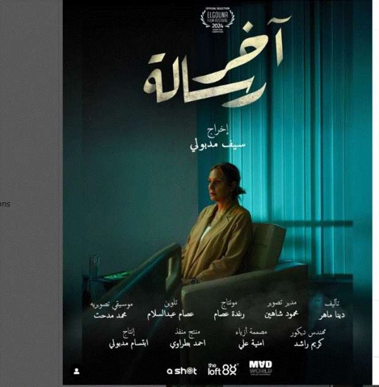 محمود شاهين