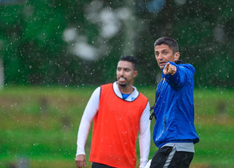 رازفان لوشيسكو