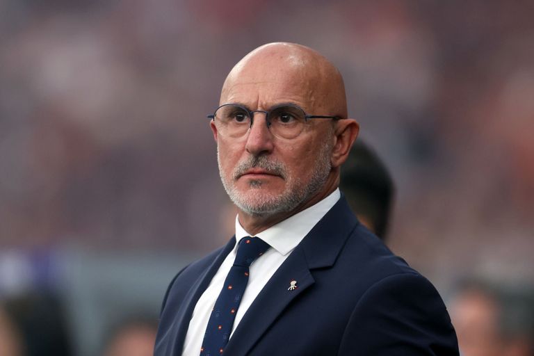 لويس دي لا فوينتي مدرب منتخب إسبانيا كارلو أنشيلوتي وفينيسيوس جونيور
