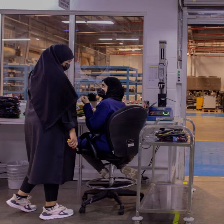 العمالة النسائية بالمملكة العربية السعودية