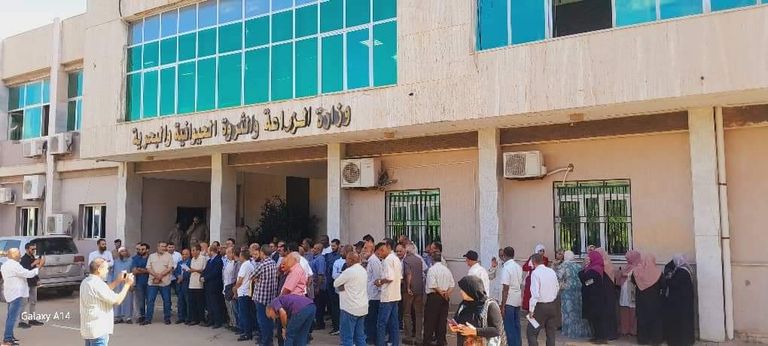 جانب من الوقفات الاحتجاجية