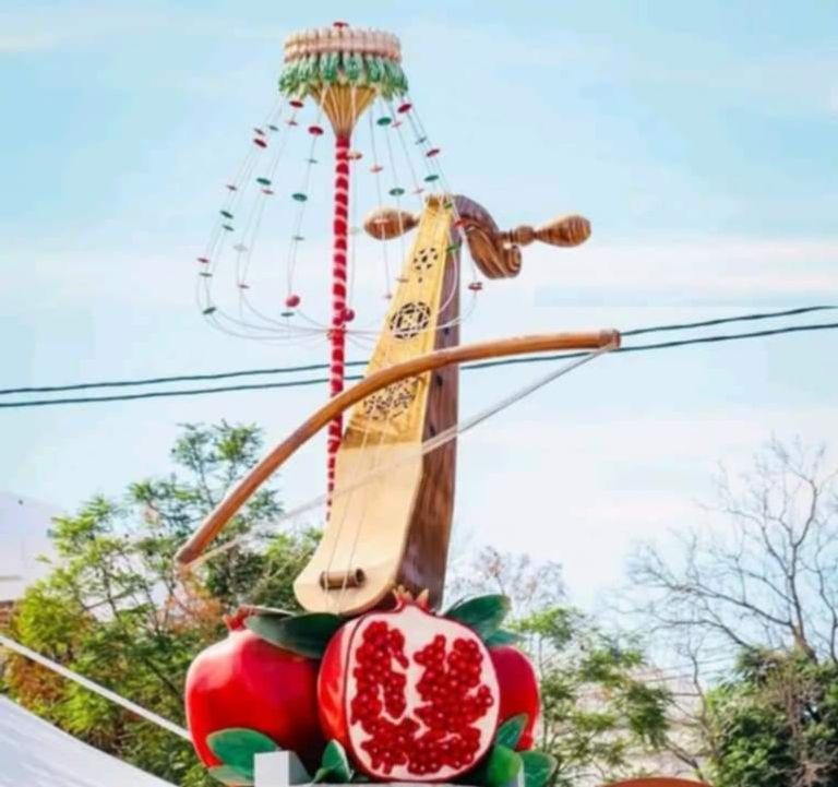 حصد ثمار الرمان 