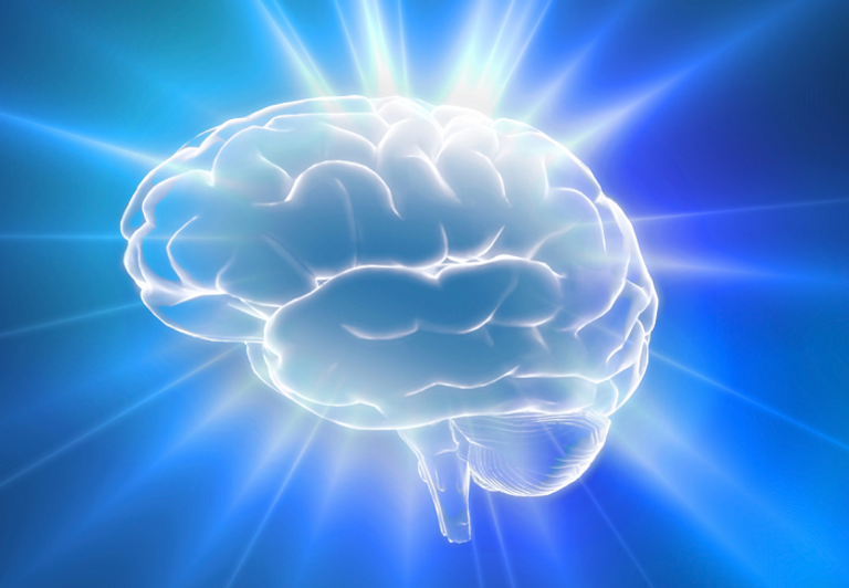 فيروس الهربس لا ينتشر عشوائيا بل يستهدف مناطق معينة من الدماغ