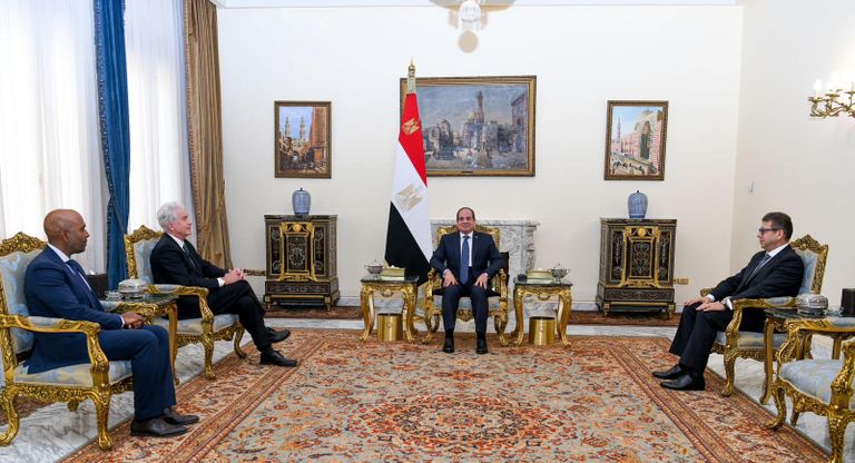 علم جمهورية مصر العربية 