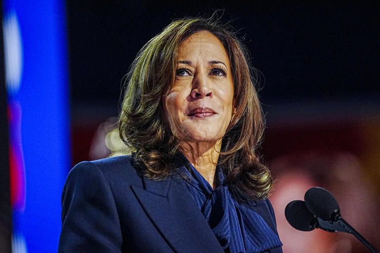 كمالا هاريس  ريد غاريت هوفمان الرئيس التنفيذي السابق لشركة لينكد إن