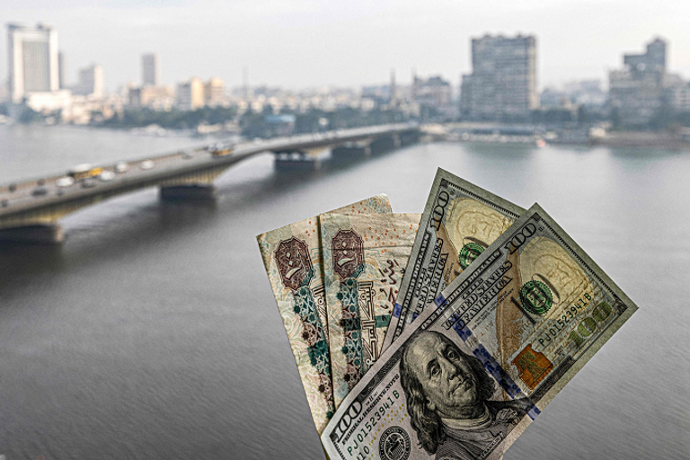 الدولار في مصر