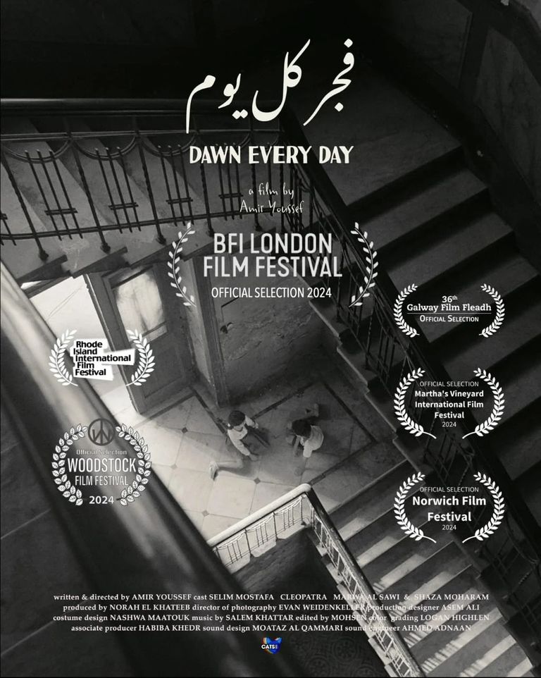 الفنانة أمينة خليل 