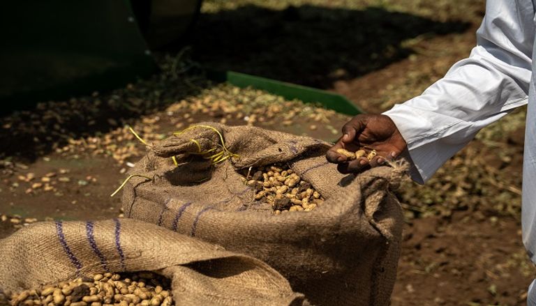 أزمة الجوع في السودان