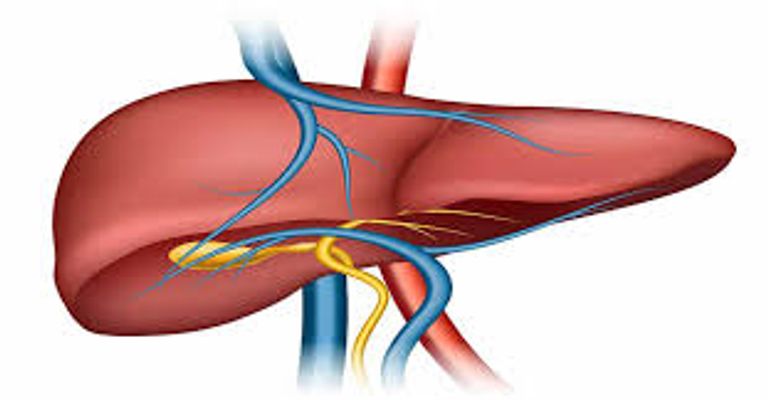 مستشعر مبتكر يكتشف انسدادات القناة الصفراوية