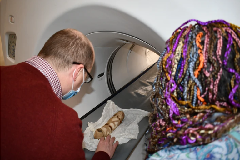 الكثير من أسرار تدجين القطط لم يكتشف بعد