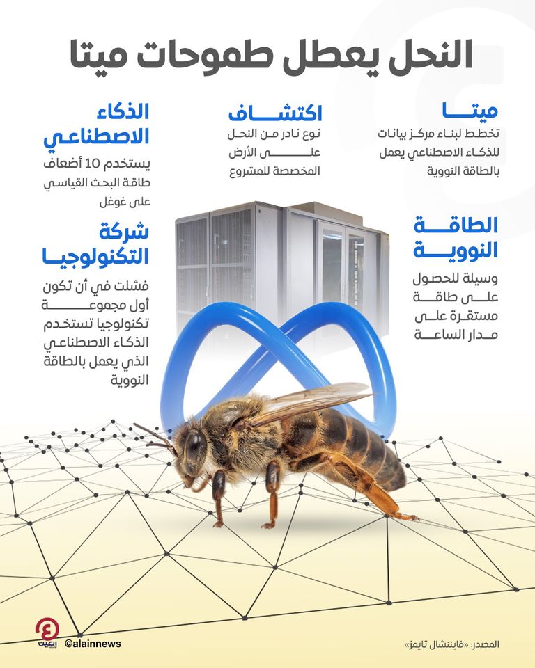 النحل يعطل طموحات ميتا النحل يعطل طموحات ميتا