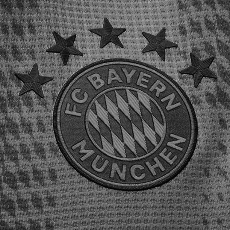 بايرن ميونخ مشجع بايرن ميونخ