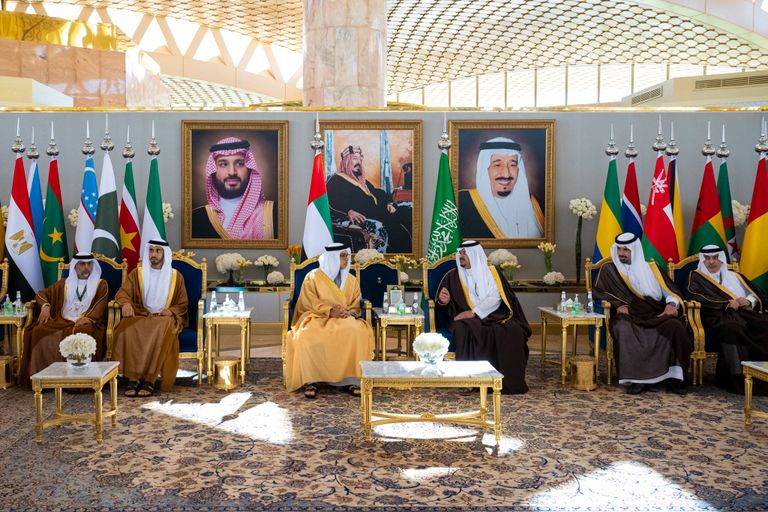 جانب من استقبال الشيخ منصور بن زايد آل نهيان