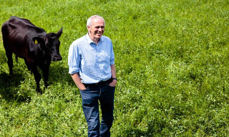 باتريك هولدن في مزرعة أبقار