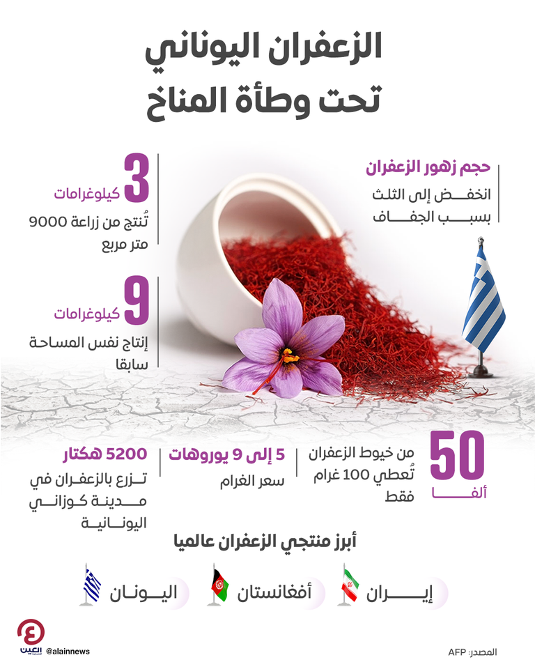 زهور الزعفران
