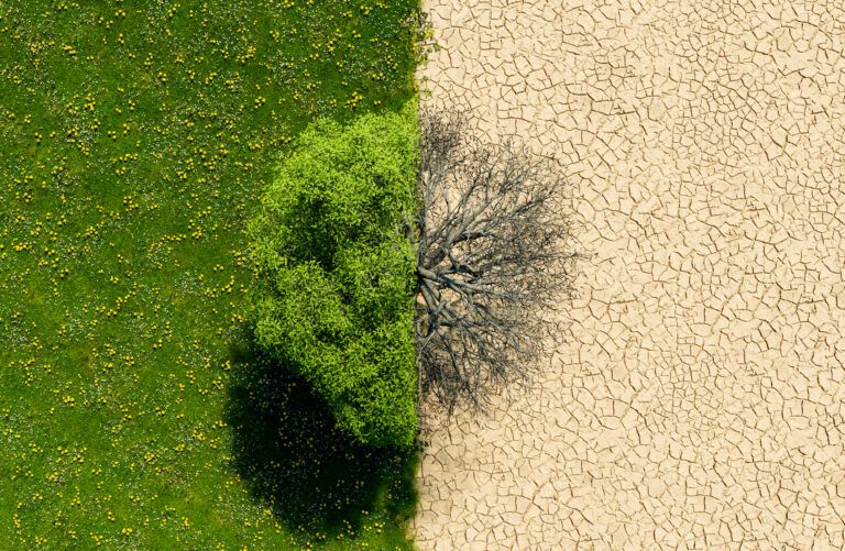 COP29 - أرشيفية