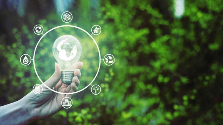 العمل الرقمي الأخضر مؤتمر الأطراف COP29