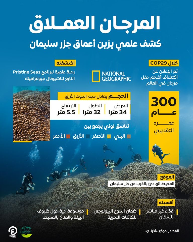 كتلة المرجان المكتشفة