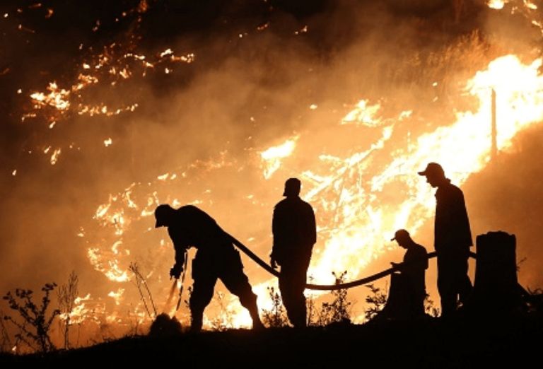 حرائق الغابات في جنوب القوقاز خسائر منطقة جنوب القوقاز بفعل تغير المناخ
