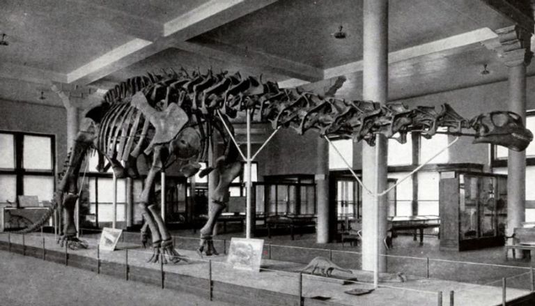 تفاصيل بيع أضخم ديناصور في العالم تفاصيل بيع أضخم ديناصور في العالم