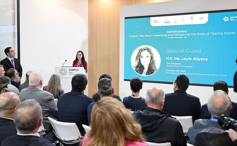 مناقشة حماية بحر قزوين في COP29 مناقشة حماية بحر قزوين في COP29