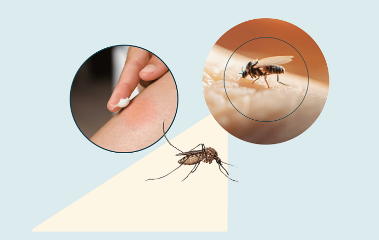 عينة إيجابية من فيروس 