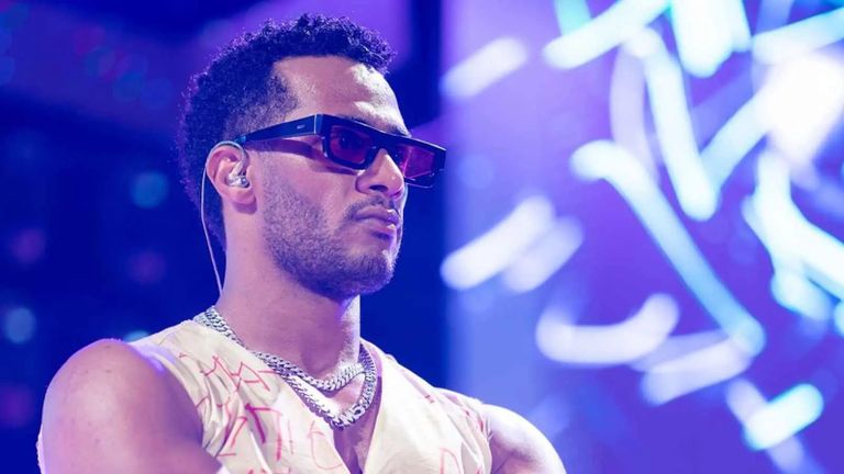 الفنان وائل جسار