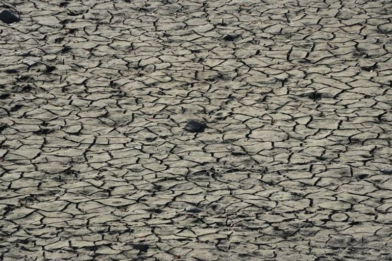 الجفاف COP29 - أرشيفية