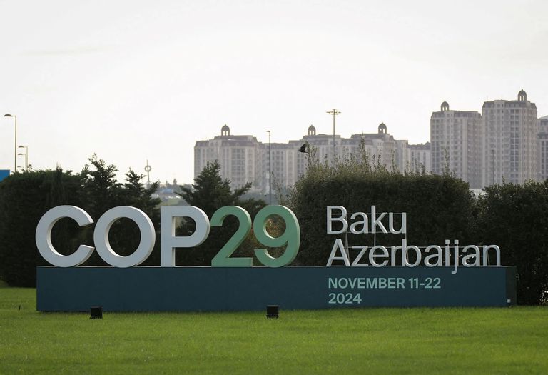 COP29 غايل جروبي