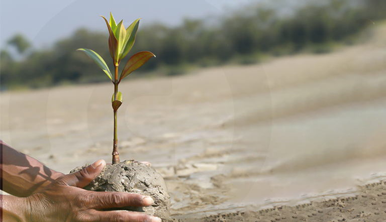 إطلاق استراتيجية 2031 لتحالف القرم من COP29