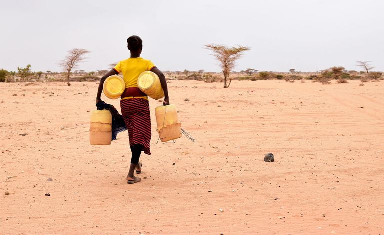 في COP29 استغاثة كينية من شبح المناخ 