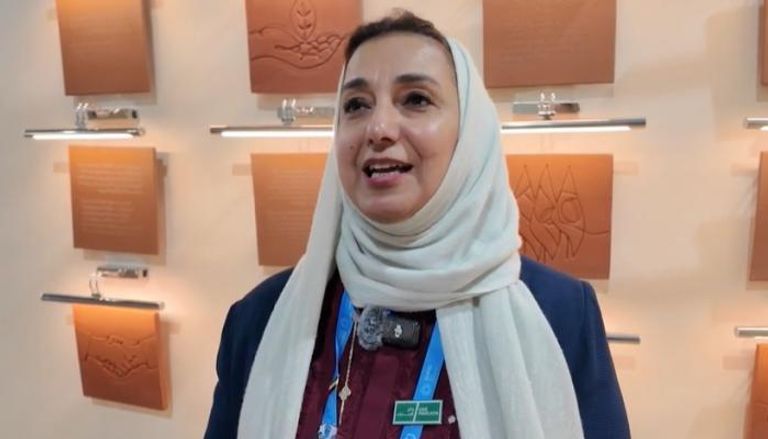 جناح الإمارات في COP29