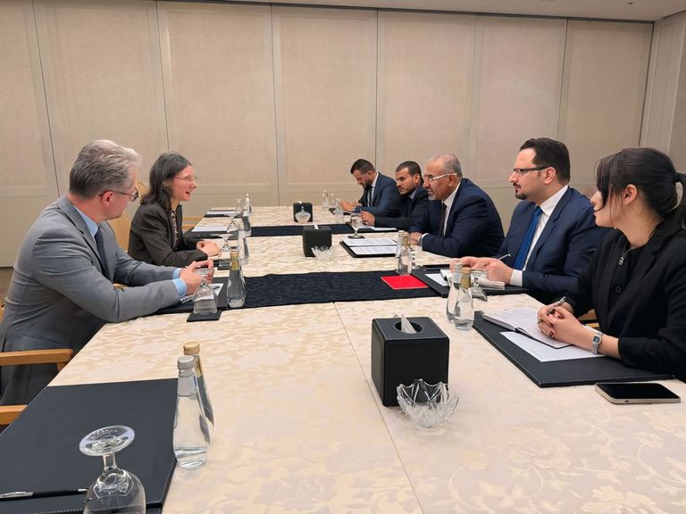 عضو مجلس القيادة الرئاسي طارق صالح والسفير الإماراتي