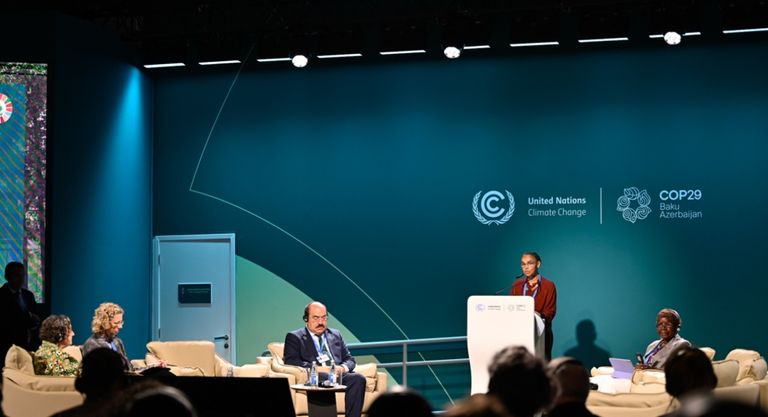 جلسة "تسخير التمويل المناخي للغابات" جلسة «تسخير التمويل المناخي للغابات»