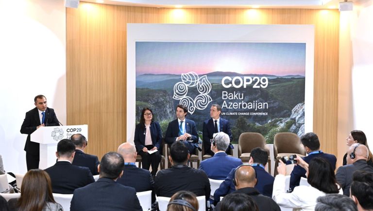 مناقشة العلاقة بين التنوع البيولوجي والتغير المناخي في COP29