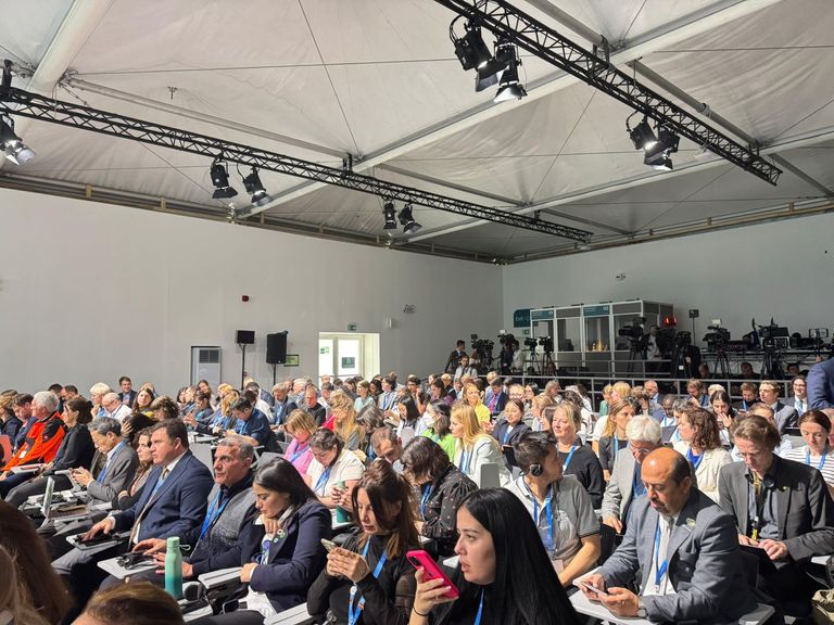 جلسة وزيرة الخارجية الألمانية في كوب 29 جلسة وزيرة الخارجية الألمانية في COP29