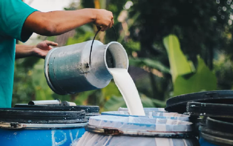 إنفلونزا الطيور.. خطر إضافي لقائمة أخطار الحليب الخام 