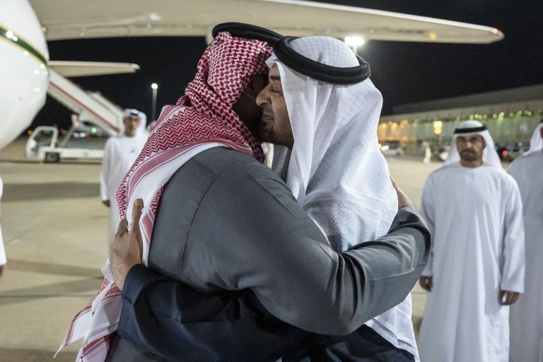 الشيخ محمد بن زايد آل نهيان وولي العهد السعودي