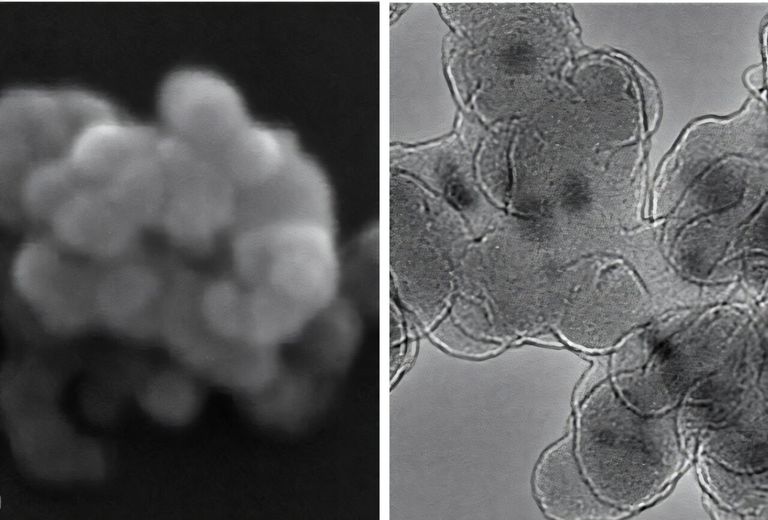 آلية جديدة لمحاربة البكتريا تعتمد على الضوء