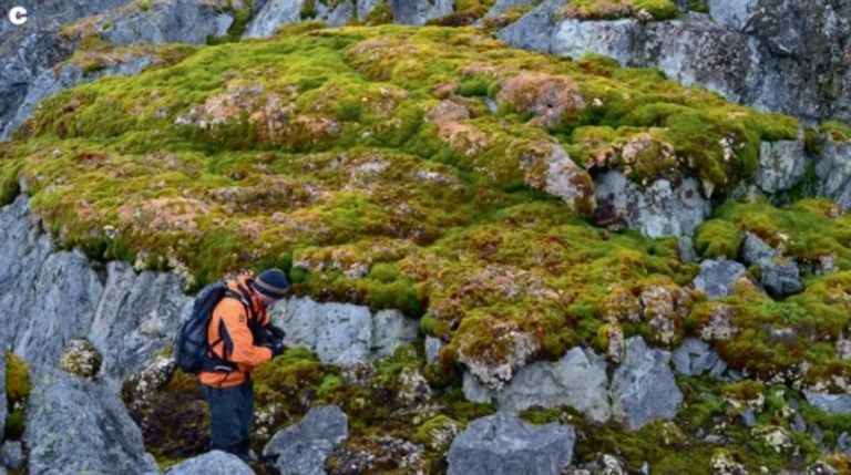 القارة القطبية الجنوبية