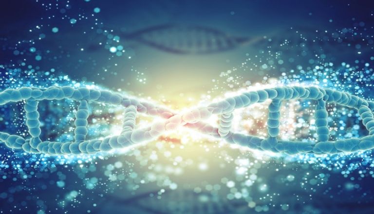 التحليل الجيني لجنس المولود