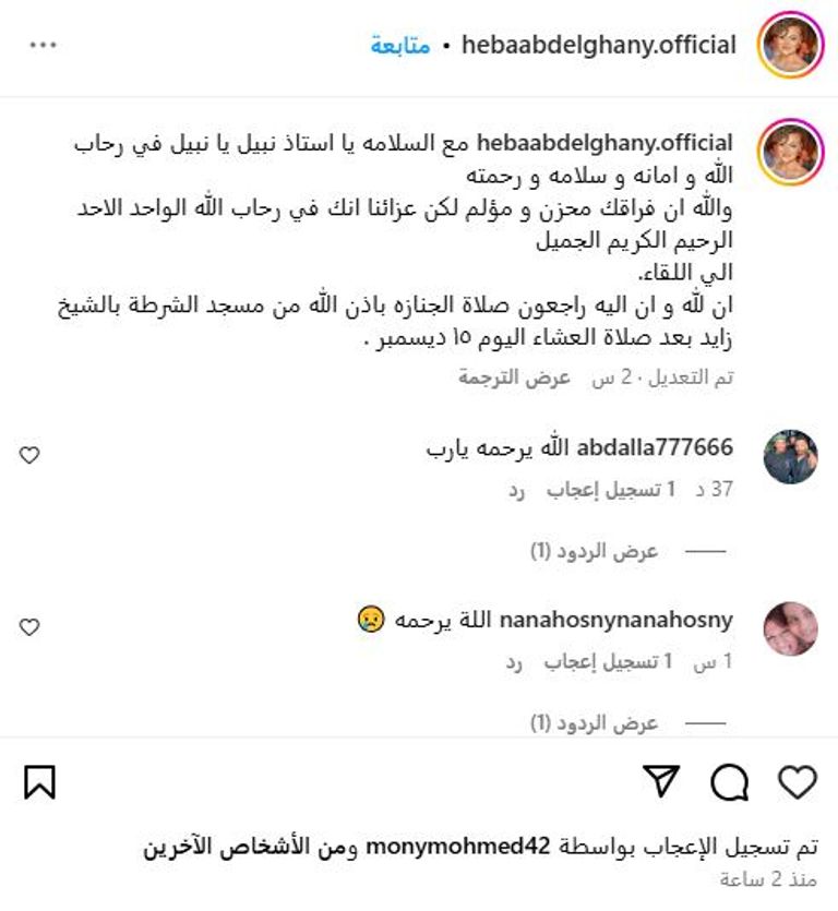 نبيل الحلفاوي