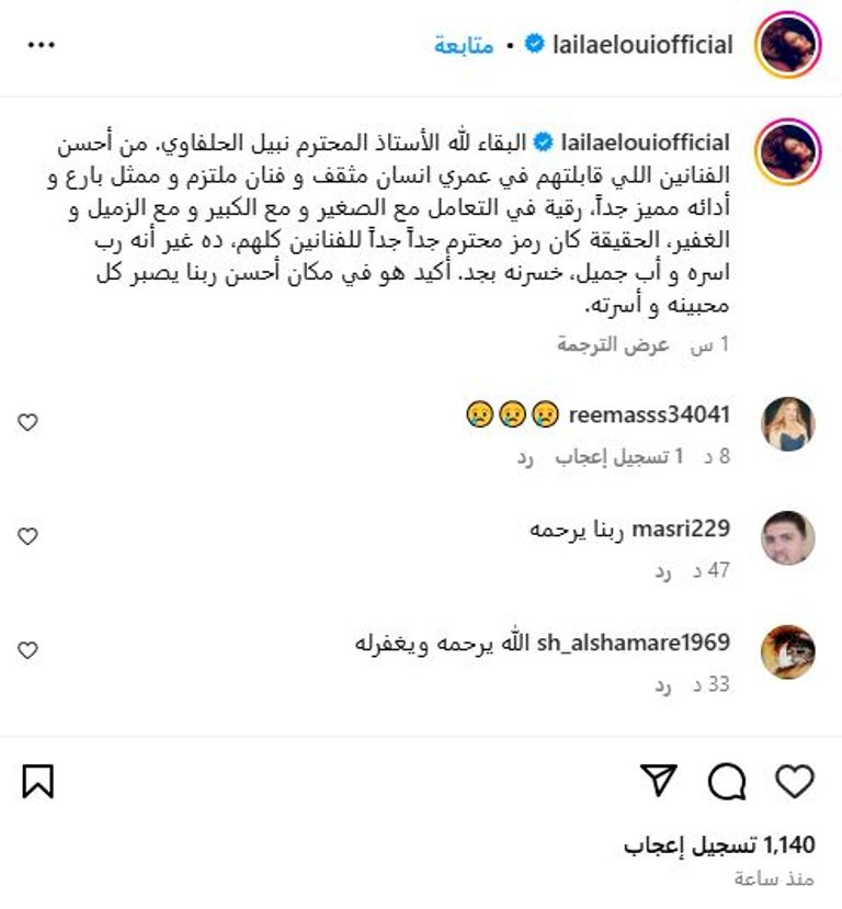 نبيل الحلفاوي