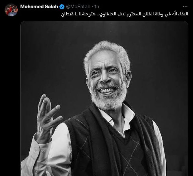 نبيل الحلفاوي