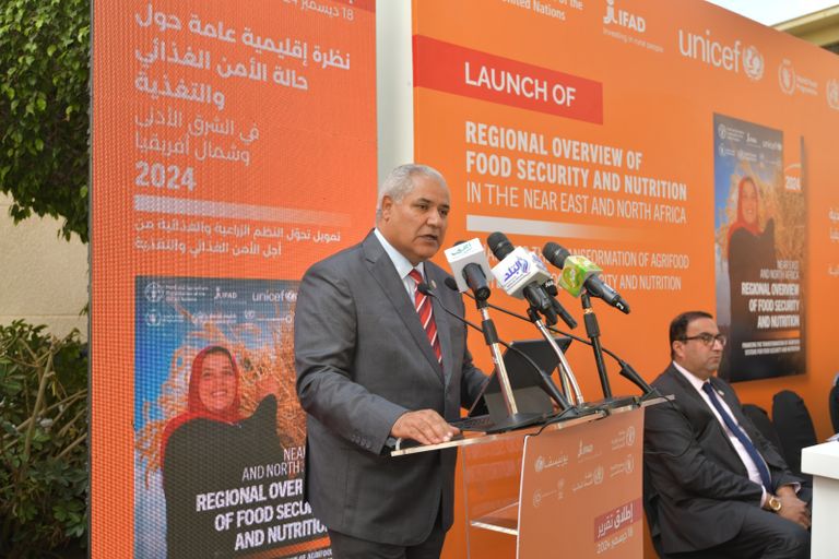 ممثلو المنظمات الأممية أثناء إطلاق التقرير 